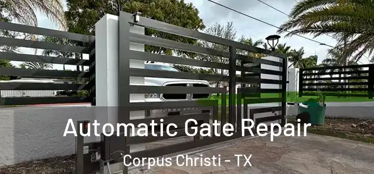 Automatic Gate Repair Corpus Christi - TX