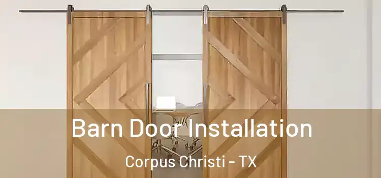  Barn Door Installation Corpus Christi - TX