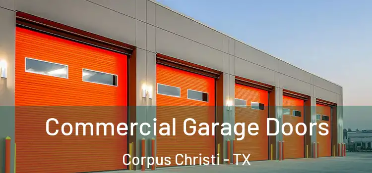  Commercial Garage Doors Corpus Christi - TX