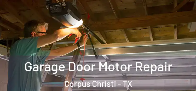  Garage Door Motor Repair Corpus Christi - TX