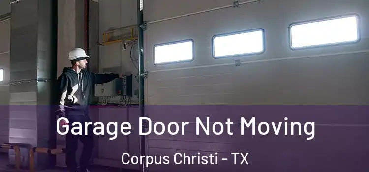  Garage Door Not Moving Corpus Christi - TX