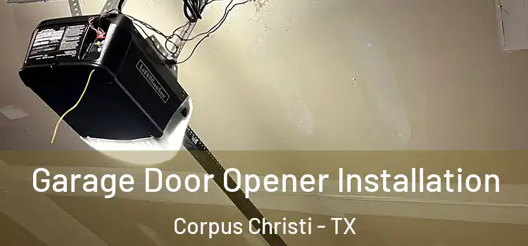  Garage Door Opener Installation Corpus Christi - TX