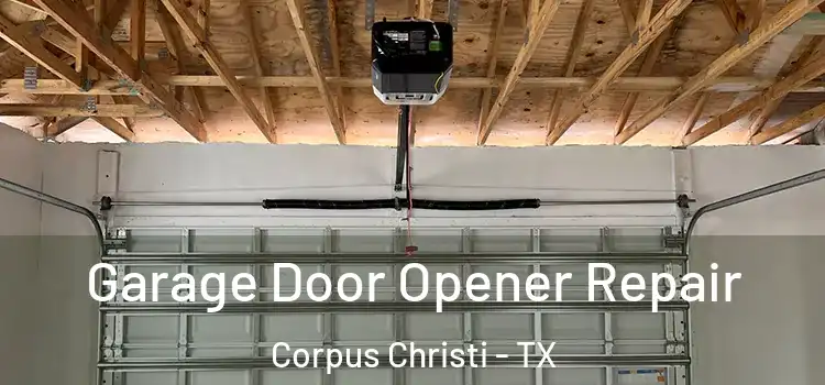  Garage Door Opener Repair Corpus Christi - TX