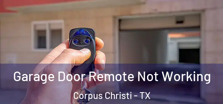  Garage Door Remote Not Working Corpus Christi - TX