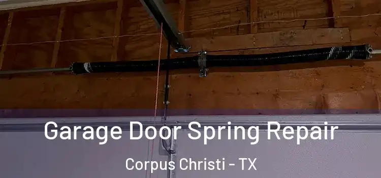  Garage Door Spring Repair Corpus Christi - TX