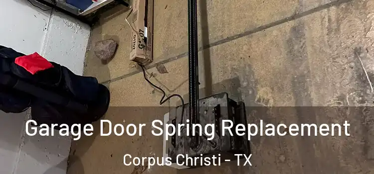  Garage Door Spring Replacement Corpus Christi - TX