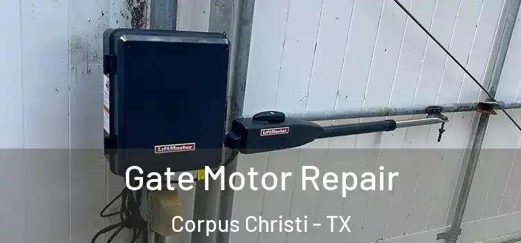  Gate Motor Repair Corpus Christi - TX