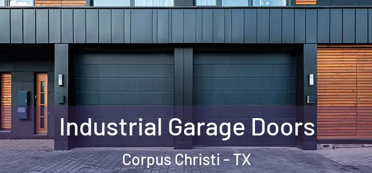  Industrial Garage Doors Corpus Christi - TX
