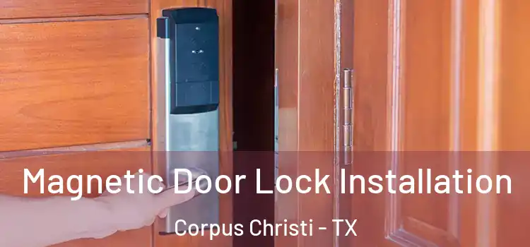  Magnetic Door Lock Installation Corpus Christi - TX