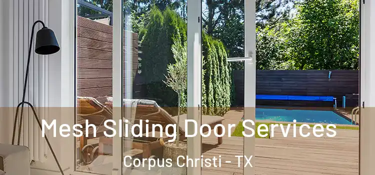 Mesh Sliding Door Services Corpus Christi - TX