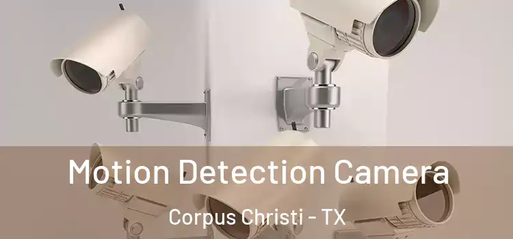  Motion Detection Camera Corpus Christi - TX